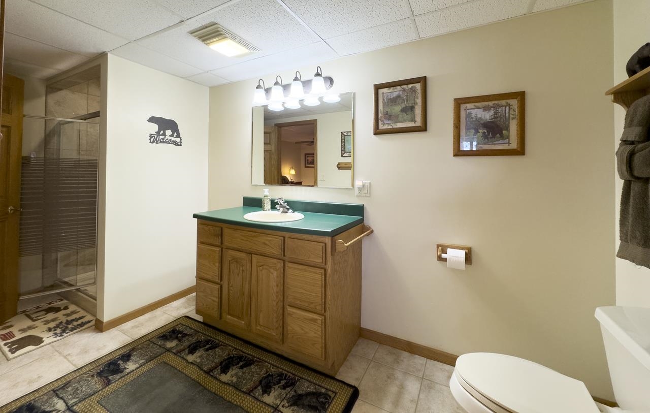 1880 Everett Bay Road Tower, MN 55790 - Photo 20 of 50 Bathroom with toilet, a stall shower, baseboards, tile patterned flooring, and vanity