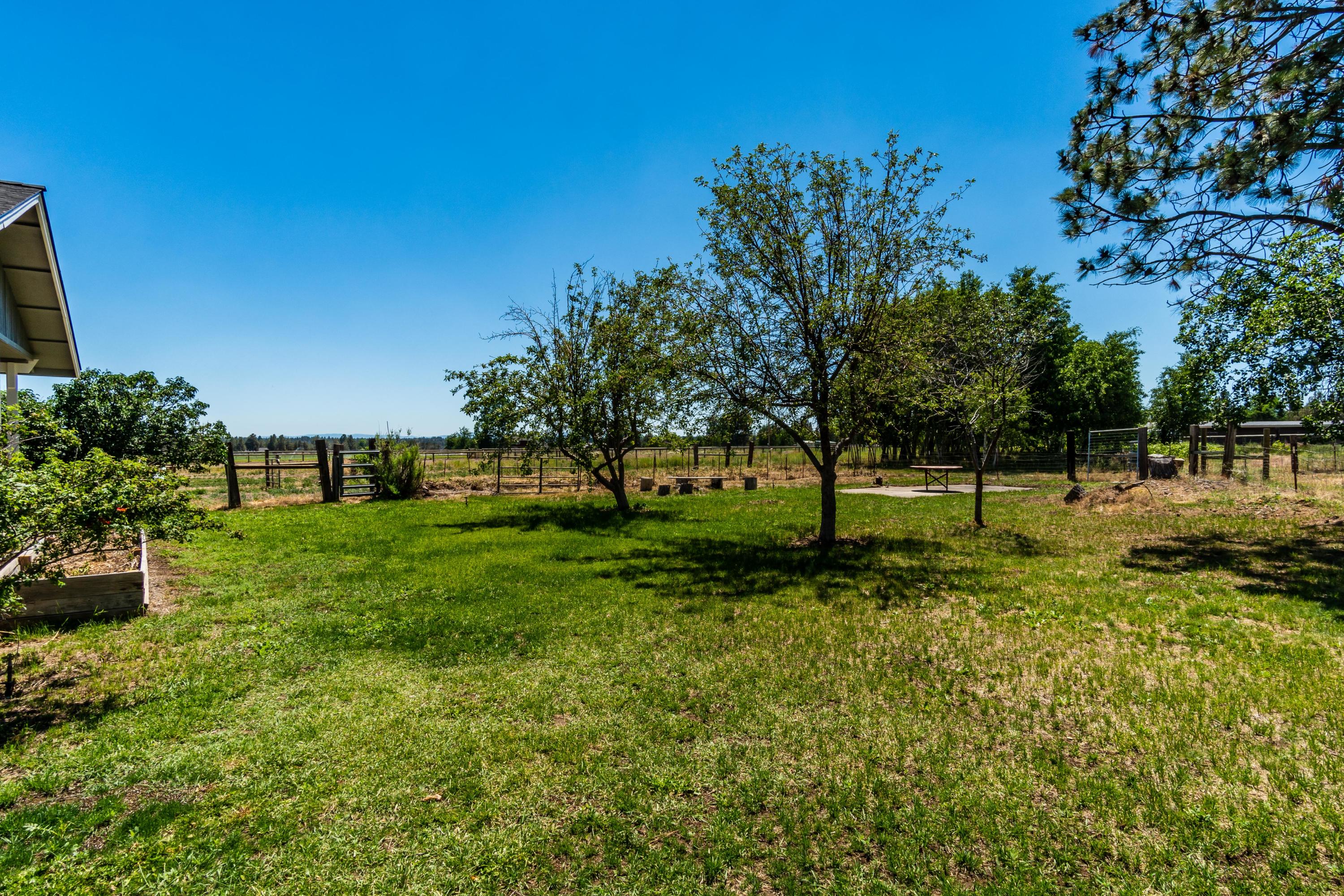 65070 Gerking Market Road Bend, OR 97703 - Photo 12 of 45 Apple & Cherry Fruit trees
