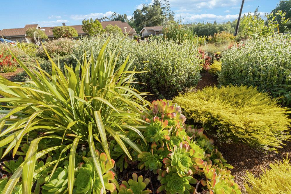 523 Charles Hill Road Santa Cruz, CA 95065 - Photo 96 of 100 Gallery Image 96