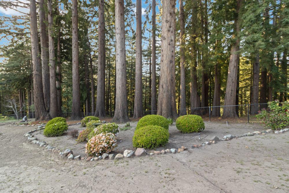 523 Charles Hill Road Santa Cruz, CA 95065 - Photo 97 of 100 Gallery Image 97