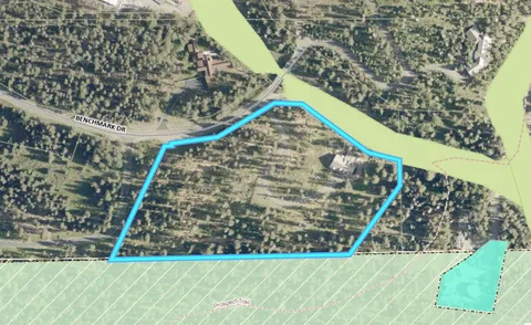 a view of a pond with lots of trees