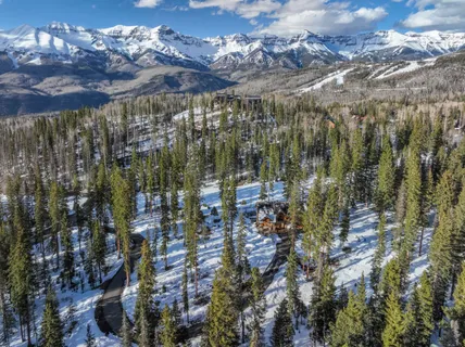 a view of lake with tree