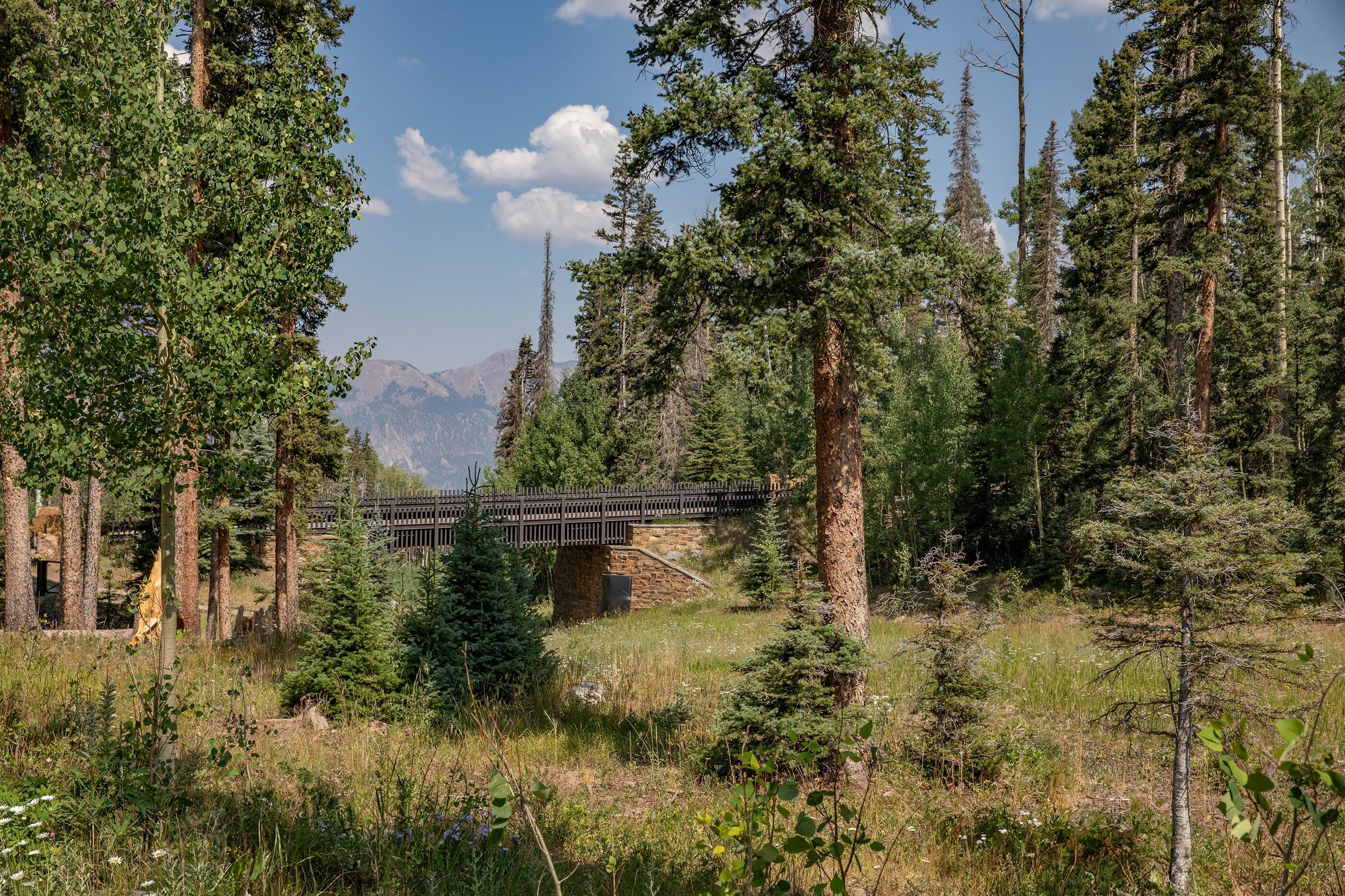 538 Benchmark Drive Mountain Village, CO 81435 - Photo 3 of 10 a view of lake with tree
