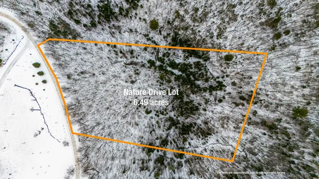 $325,000 | Tbd Nature Drive, Franconia, NH 03580