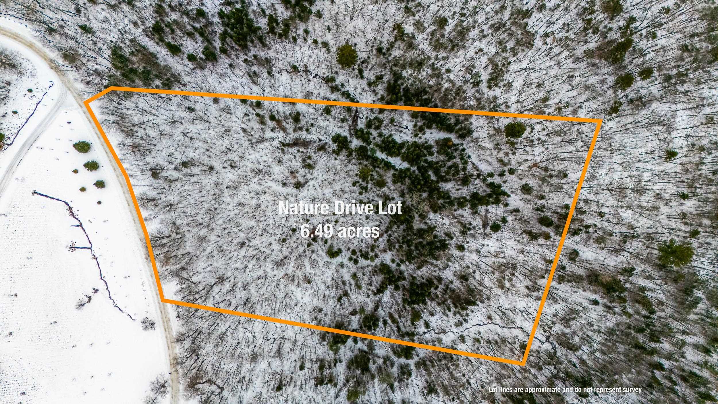 Tbd Nature Drive Franconia, NH 03580 - Photo 5 of 8