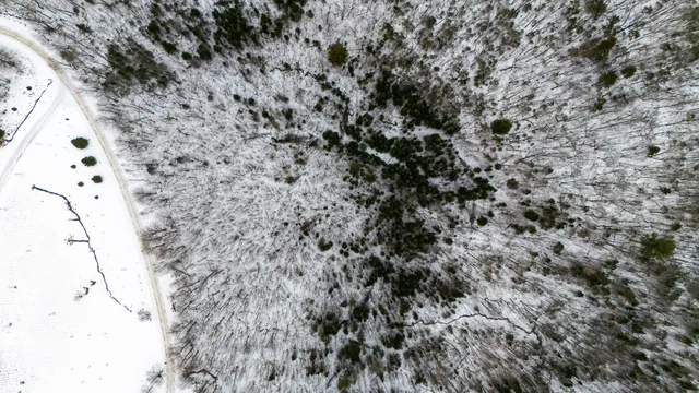 $325,000 | Tbd Nature Drive, Franconia, NH 03580