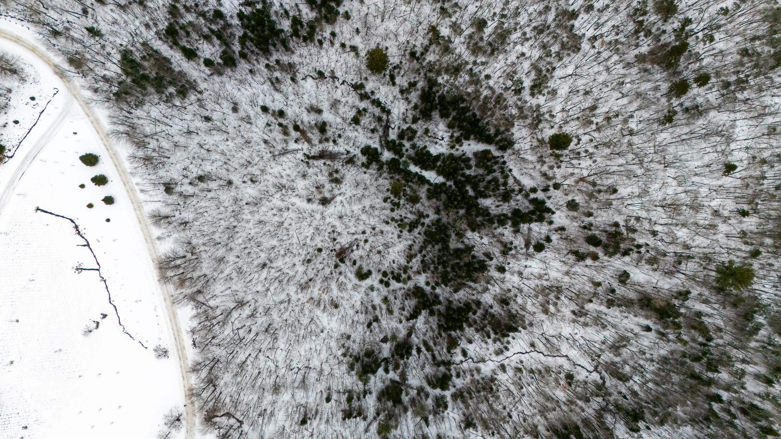 Tbd Nature Drive Franconia, NH 03580 - Photo 8 of 8