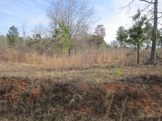 0 Aonia Road Washington, GA 30673 - Photo 1 of 6 Main View