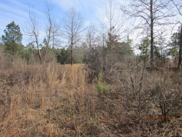 0 Aonia Road Washington, GA 30673 - Photo 2 of 6