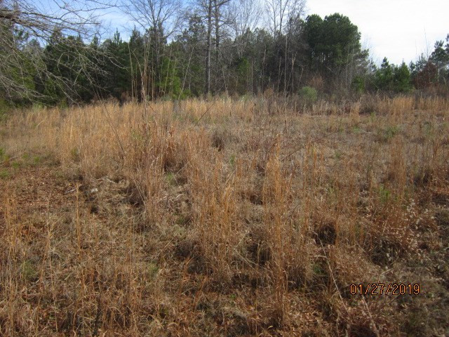 0 Aonia Road Washington, GA 30673 - Photo 3 of 6