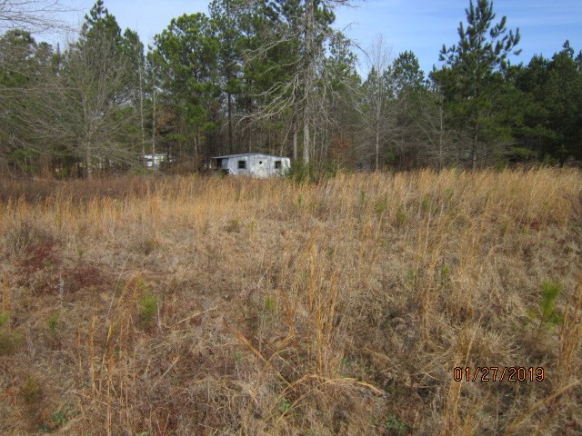 0 Aonia Road Washington, GA 30673 - Photo 4 of 6