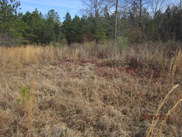 0 Aonia Road Washington, GA 30673 - Photo 5 of 6