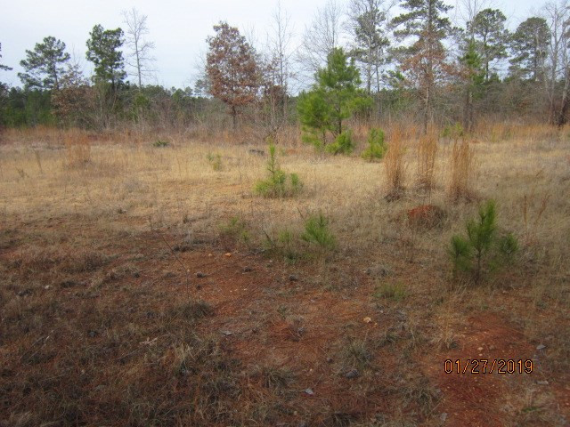 0 Aonia Road Washington, GA 30673 - Photo 6 of 6