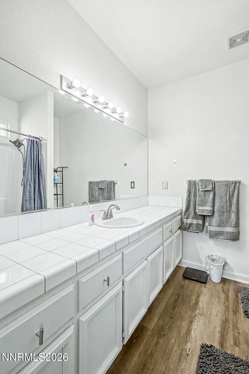1284 Eider Circle Fallon, NV 89406 - Photo 11 of 21 a bathroom with a sink and a mirror