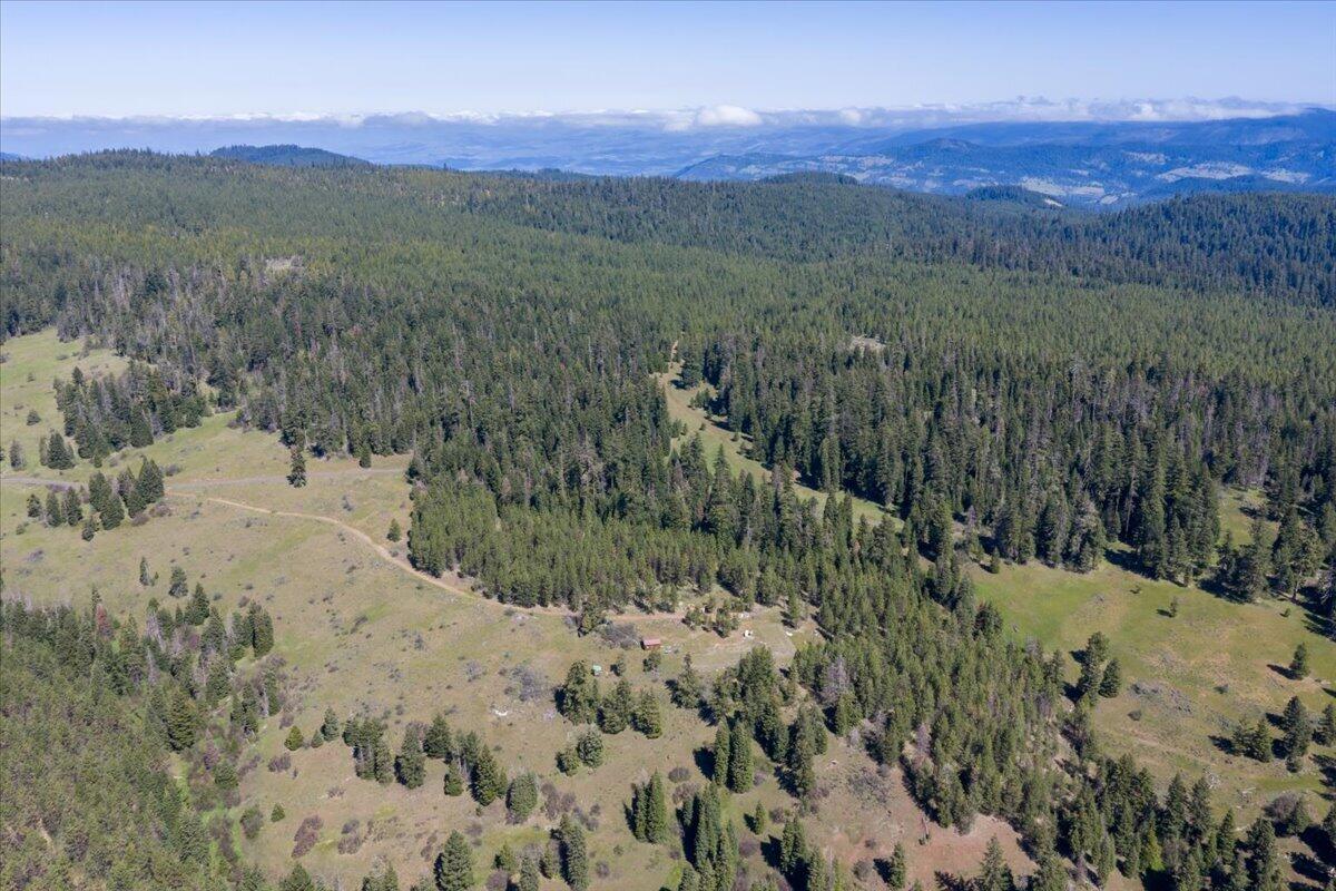 13889 Dead Indian Memorial Road Ashland, OR 97520 - Photo 19 of 28 43-DJI_20260505105356_0025_D
