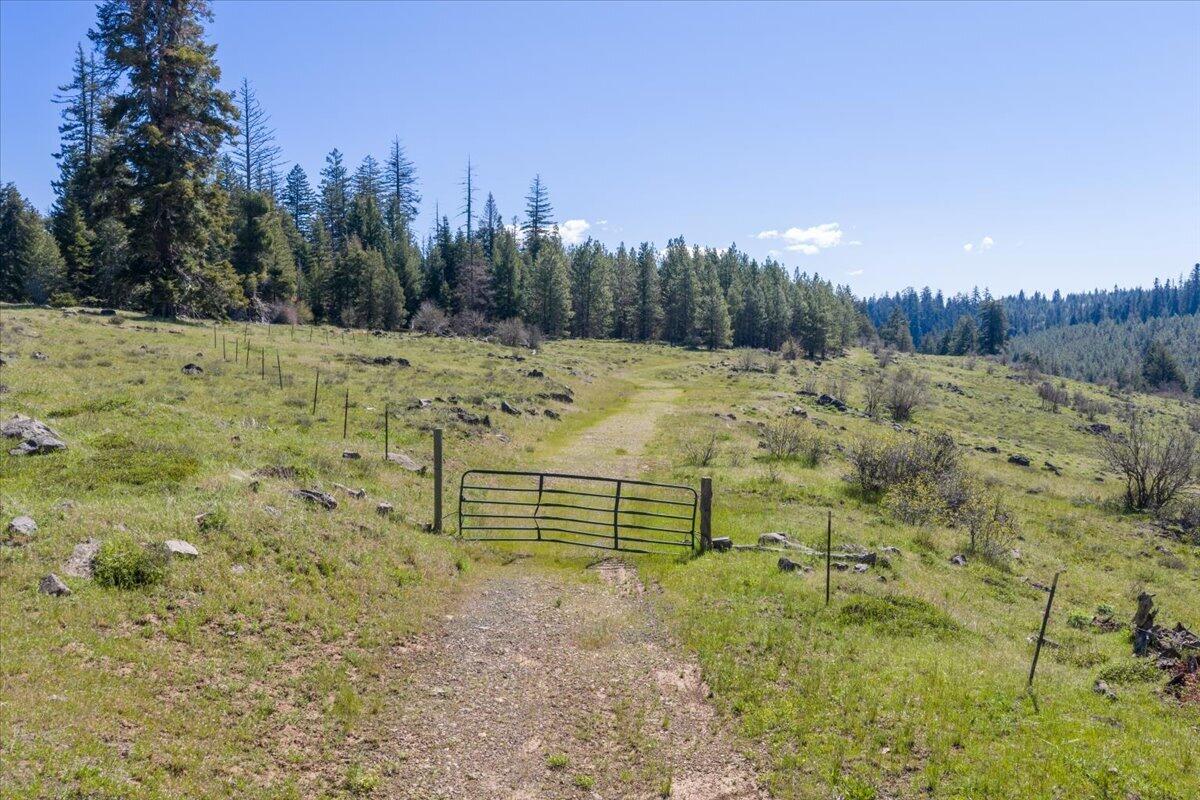 13889 Dead Indian Memorial Road Ashland, OR 97520 - Photo 2 of 28 25-DJI_20260505104514_0001_D