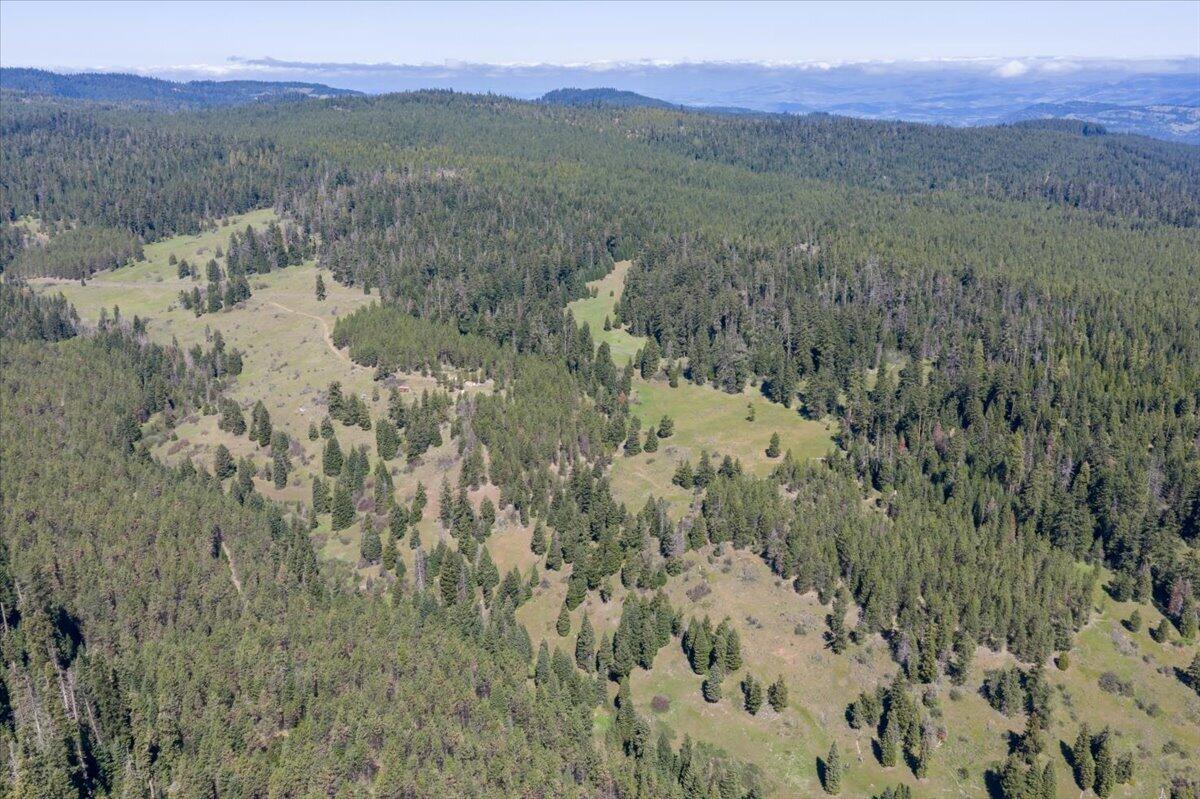 13889 Dead Indian Memorial Road Ashland, OR 97520 - Photo 24 of 28 48-DJI_20260505105643_0032_D