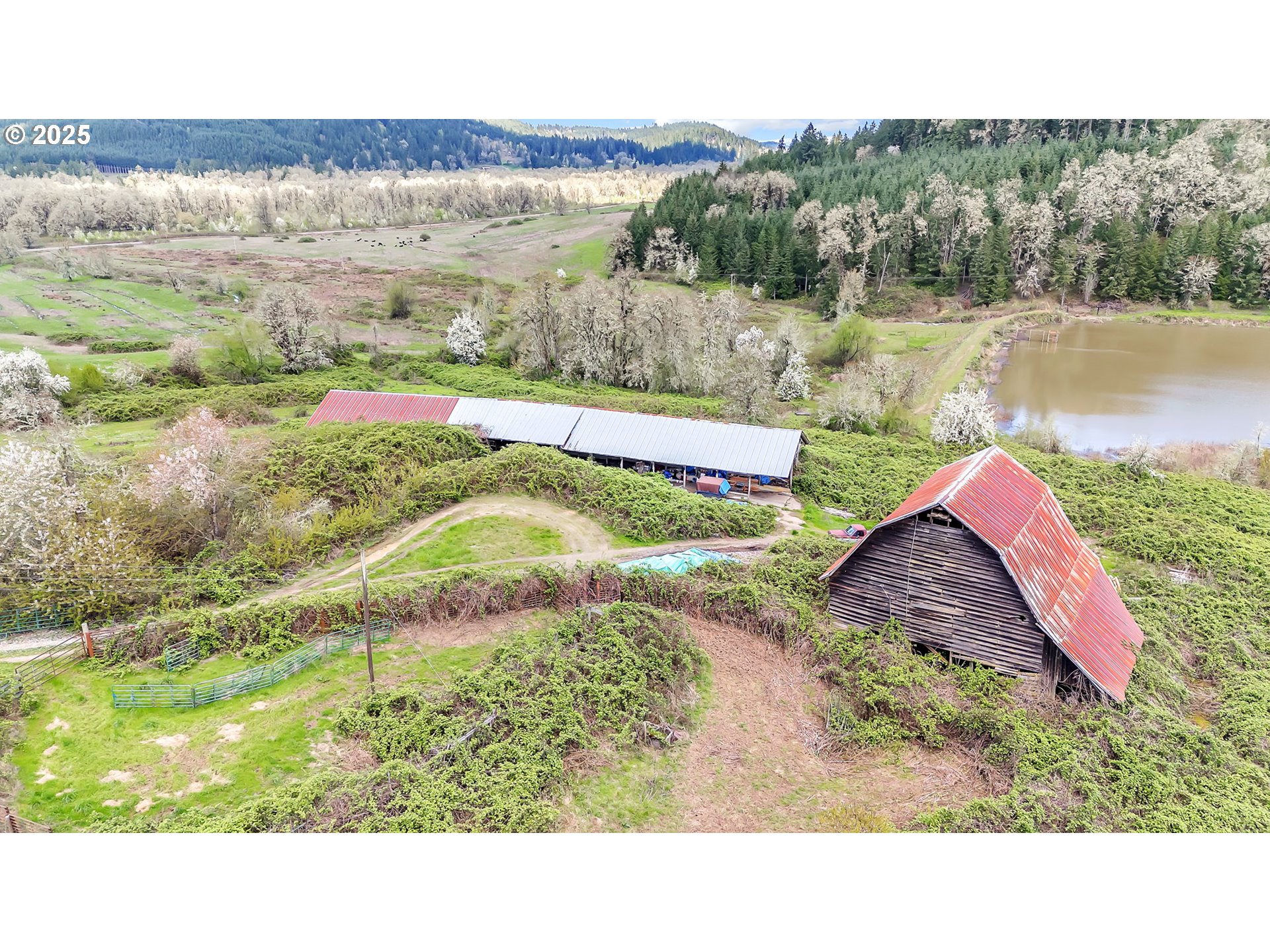 26900 Crow Road Eugene, OR 97405 - Photo 39 of 48