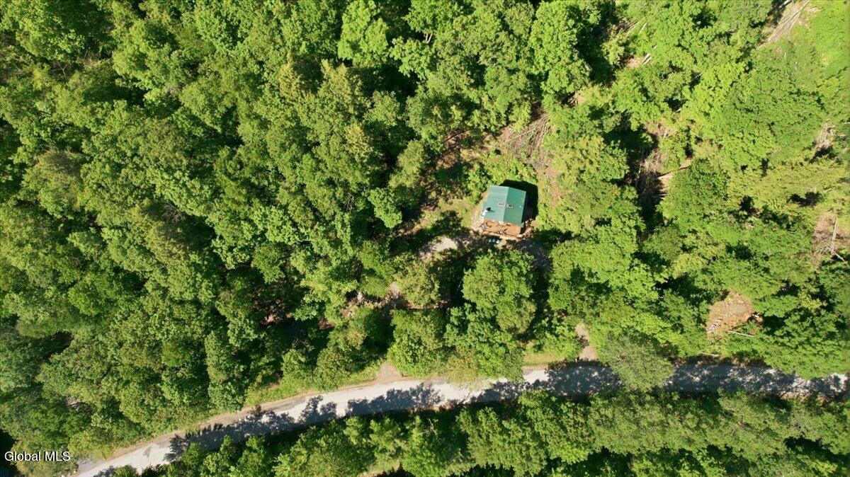 1487 River Road Thurman, NY 12885 - Photo 22 of 22 1487 River Rd