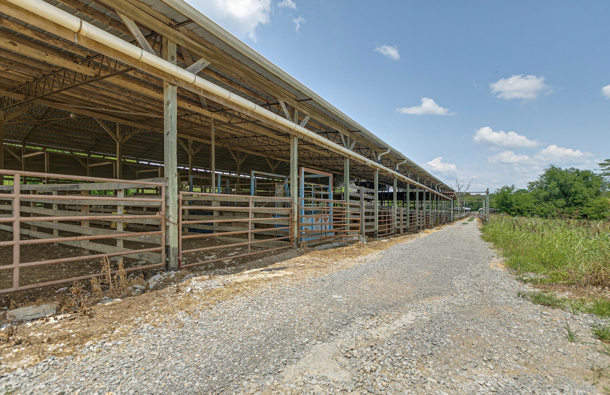 3008 Luke Moser Road Columbia, TN 38401 - Photo 25 of 44