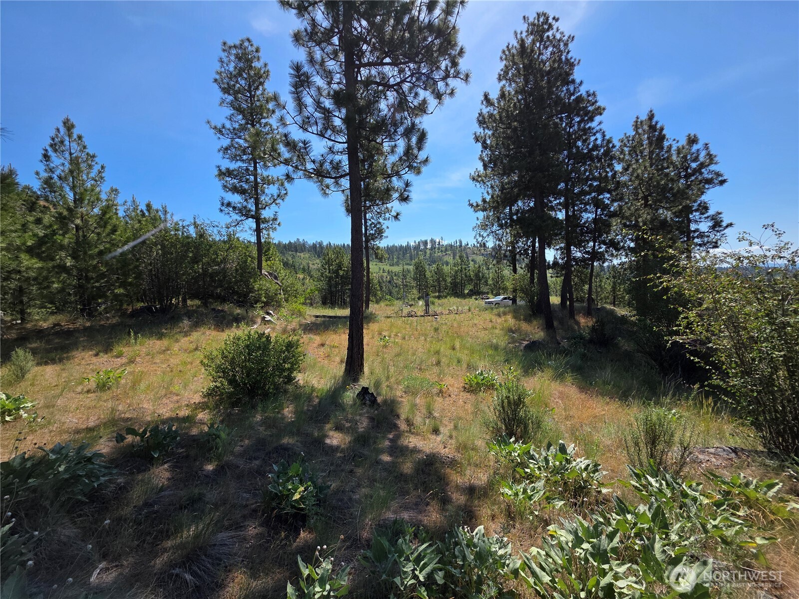 431 J Swanson Mill Road Oroville, WA 98844 - Photo 27 of 36
