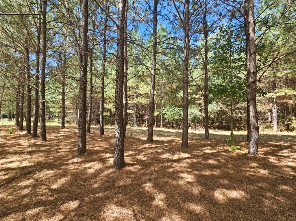 0 Old Bethlehem School Road Pickens, SC 29671 - Photo 5 of 6