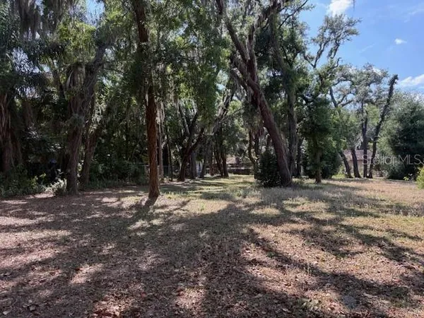 a view of outdoor space with trees