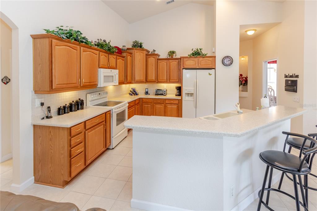 4072 Misty View Drive Spring Hill, FL 34609 - Photo 13 of 48