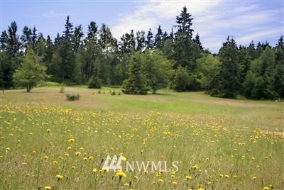 85 Martin Road Port Townsend, WA 98368 - Photo 1 of 1 Gallery Image 1