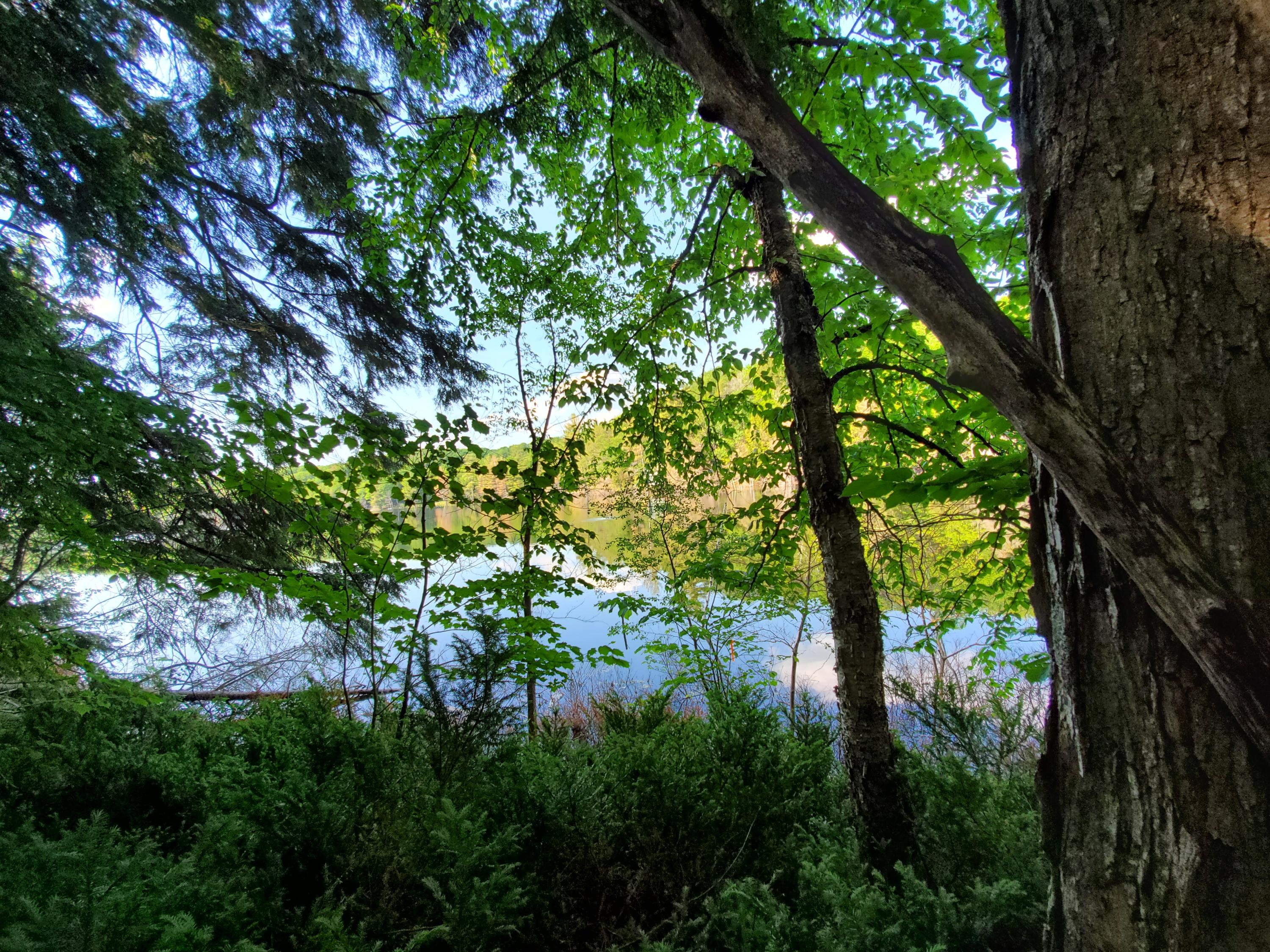 North Ridge Road Gaylord, MI 49735 - Photo 5 of 5 Gallery Image 5