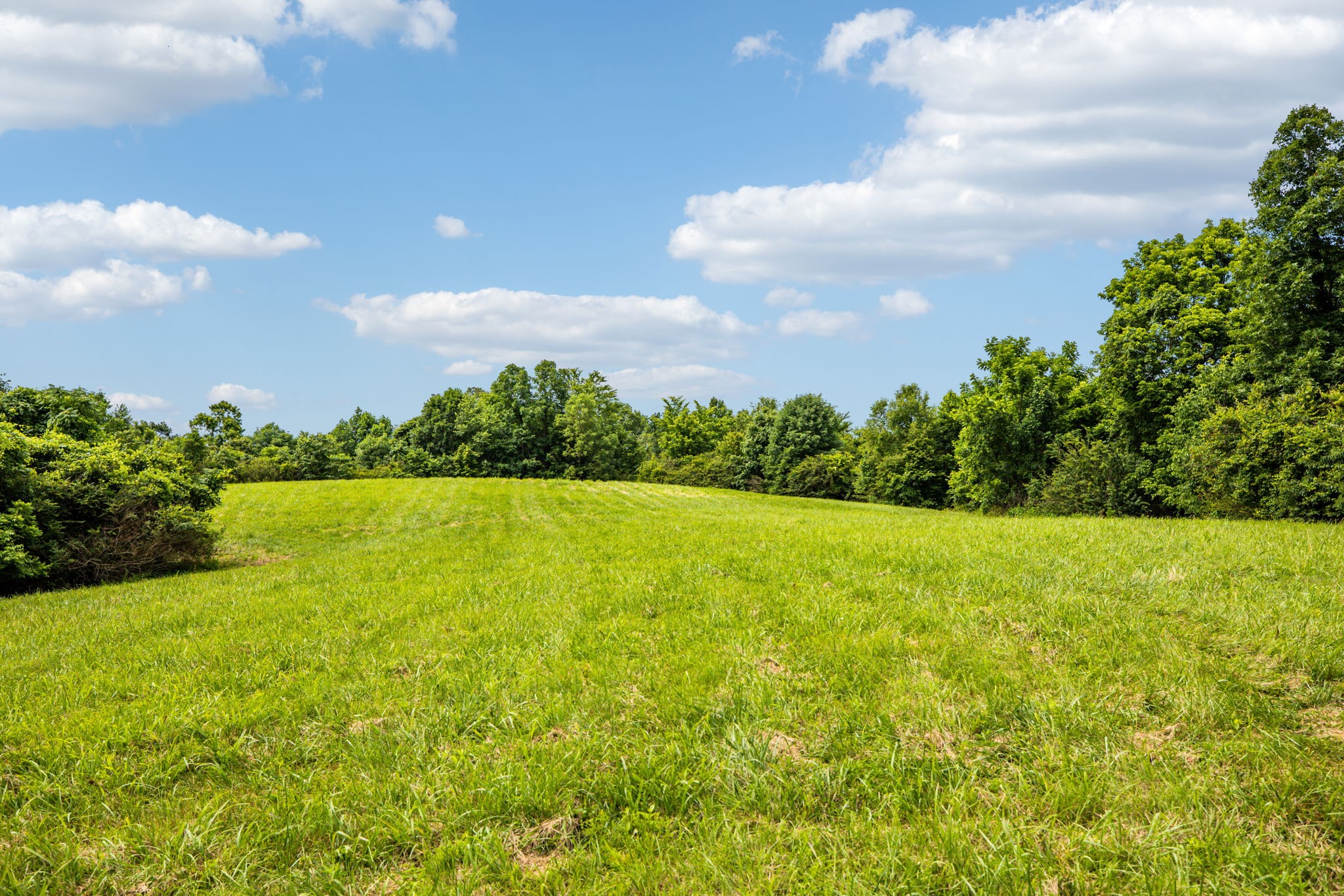 48 Old State Rte 48 Centerville, TN 37033 - Photo 4 of 16 Gallery Image 4