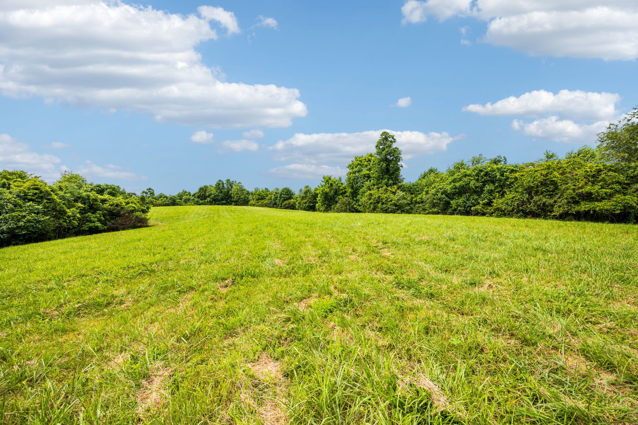 48 Old State Rte 48 Centerville, TN 37033 - Photo 8 of 16 Gallery Image 8