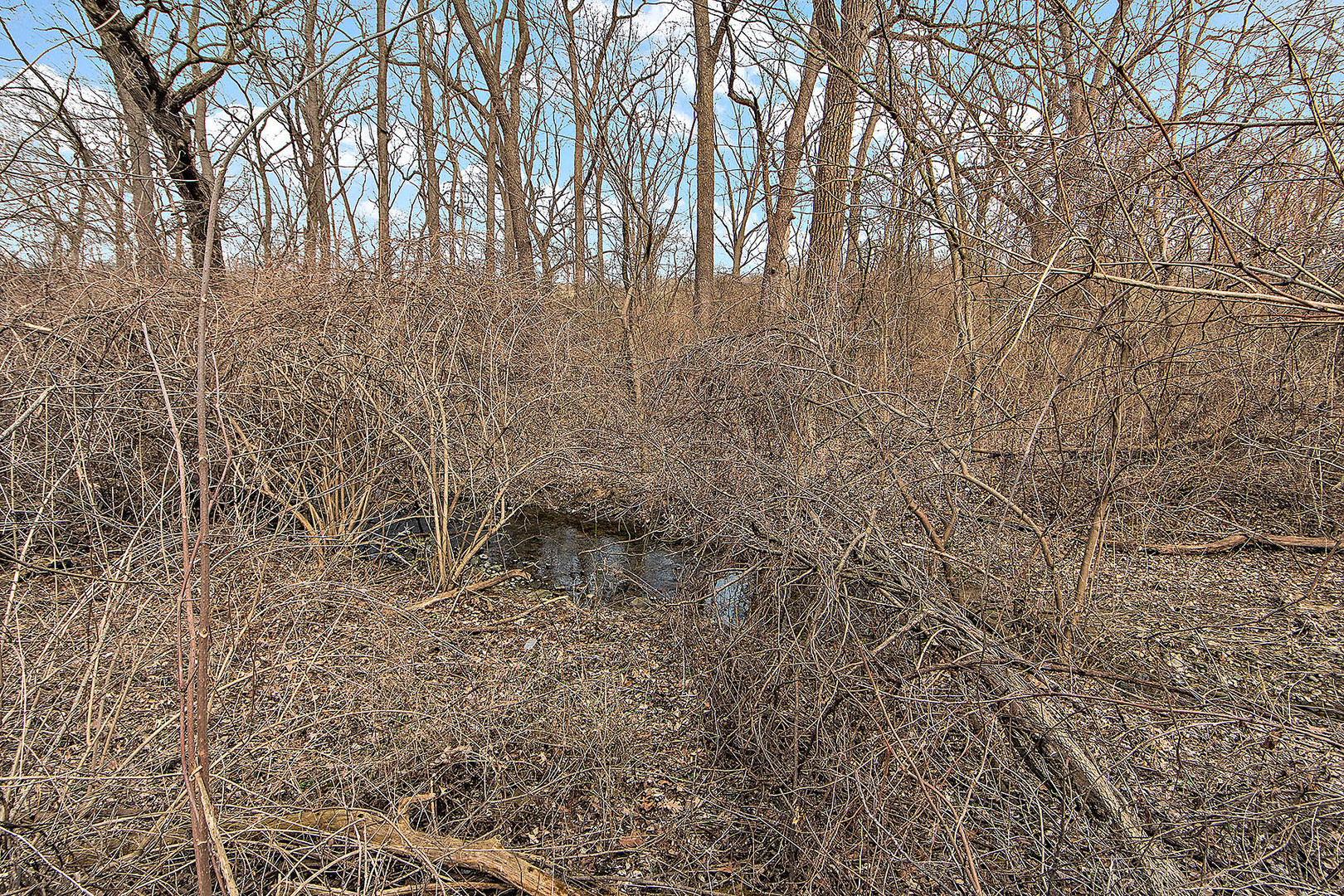 Vacant South High Road Lockport, IL 60441 - Photo 16 of 21