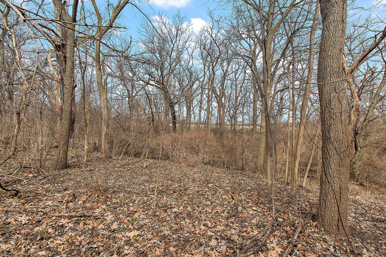 Vacant South High Road Lockport, IL 60441 - Photo 19 of 21
