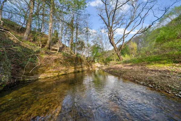 $125,000 | 1 Bud Parker Lane, Erin, TN 37061