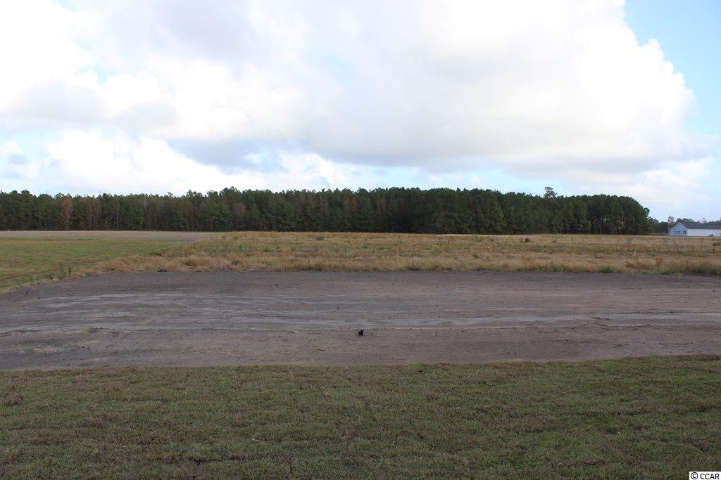 3642 Edwards Road Aynor, SC 29511 - Photo 18 of 29 Gallery Image 18