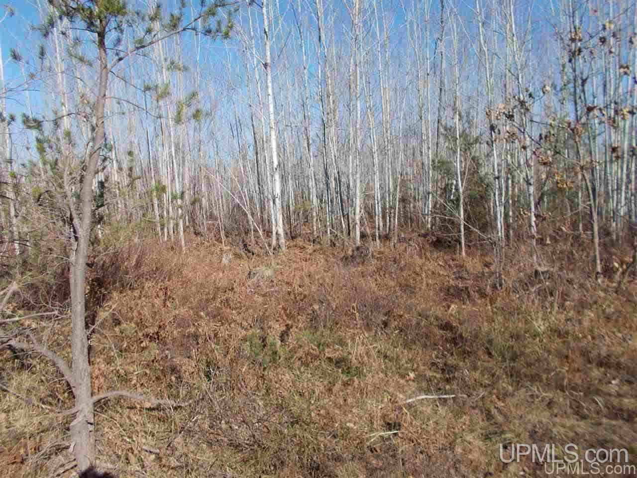 74-acres 74-acres Off Co Road Negaunee, MI 49866 - Photo 6 of 17