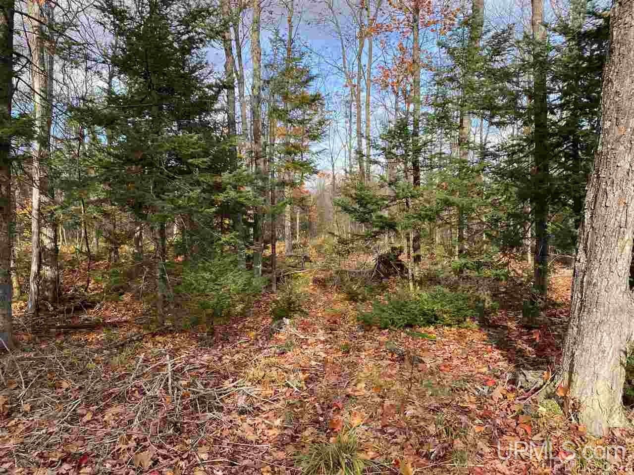 Tbd Lake Enchantment Road, Unit PARCEL 1 Marquette, MI 49855 - Photo 12 of 18