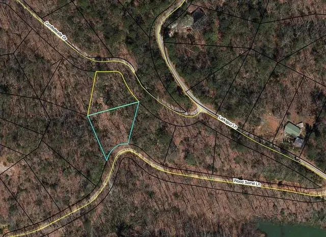 a bird view of house