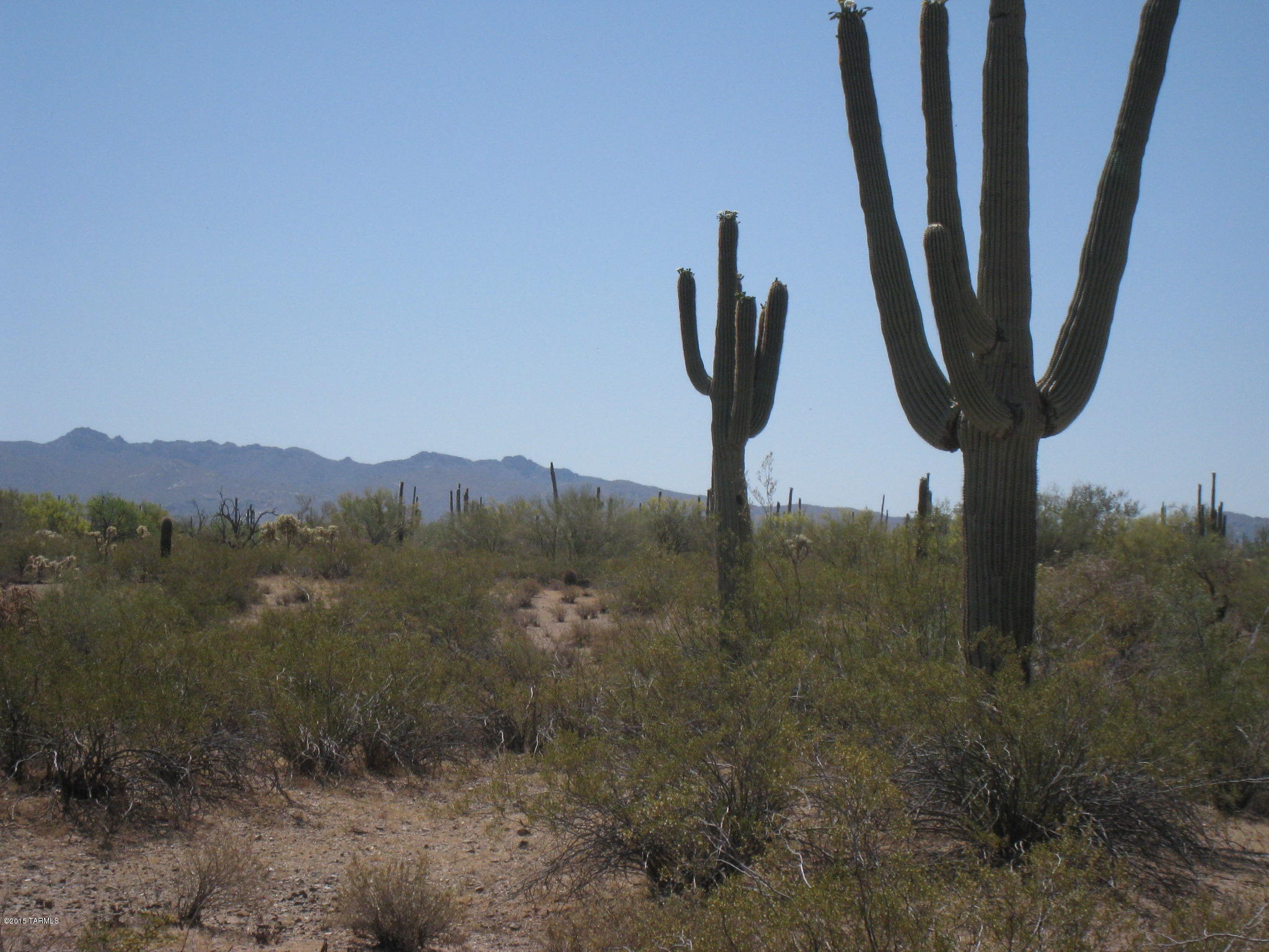0 South Cattle Tank Road Marana, AZ 85658 - Photo 4 of 4