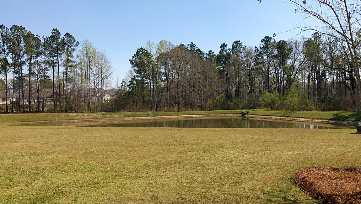 152 Nolin Road Moncks Corner, SC 29461 - Photo 37 of 48 Spring-Grove-Plantation_Pond1