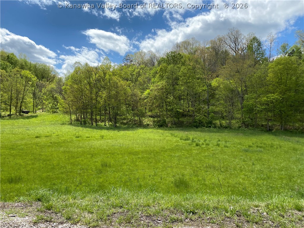 0 Route 21 Ripley Wv 25271 Ripley, WV 25271 - Photo 2 of 2 Gallery Image 2