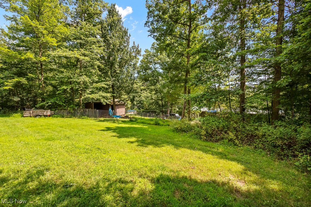 3271 Gorge Road Southwest Dellroy, OH 44620 - Photo 44 of 48 View of yard