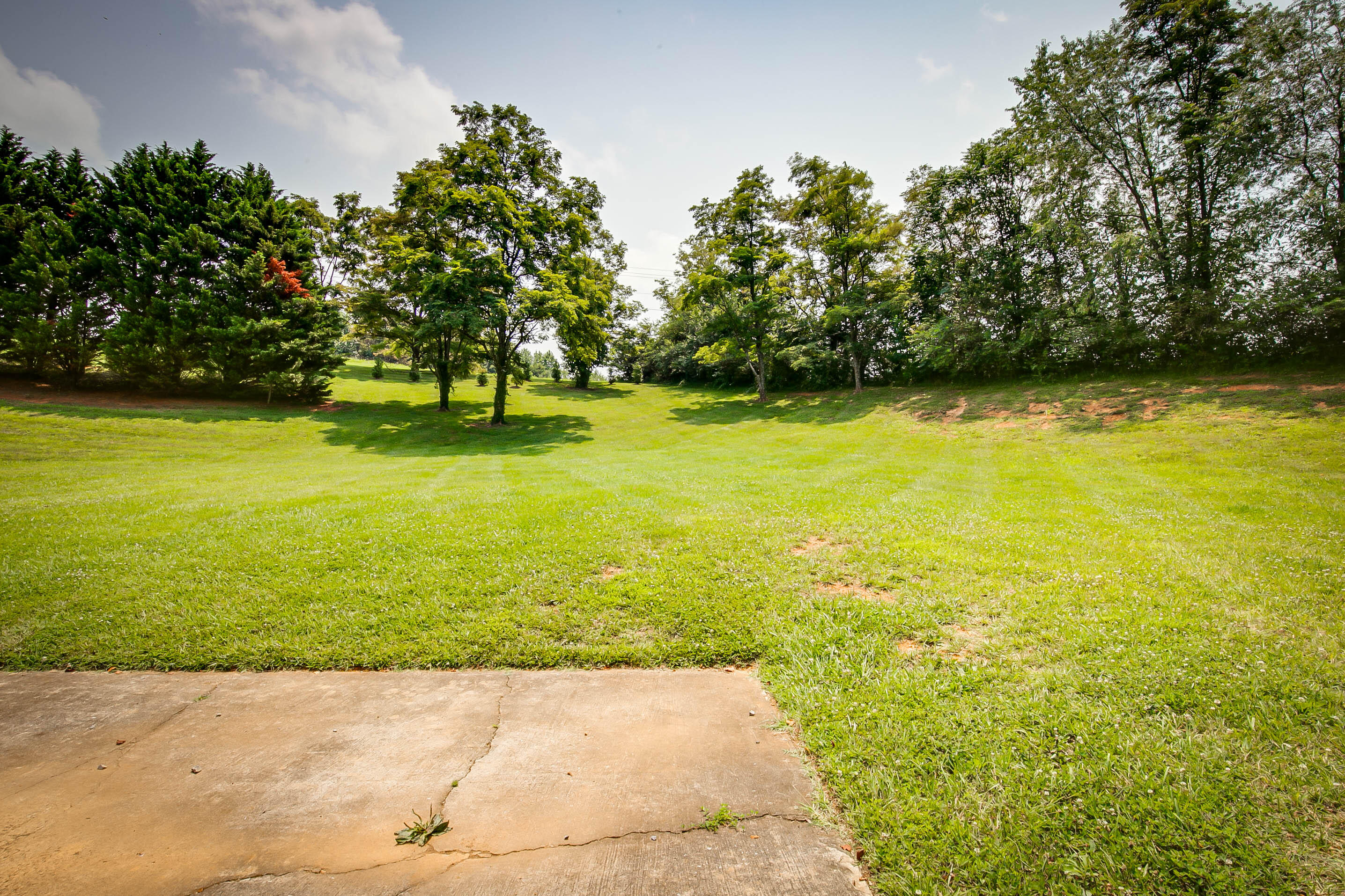 259 Lake Ridge Drive Jonesborough, TN 37659 - Photo 63 of 65 Lake Ridge Dr-63