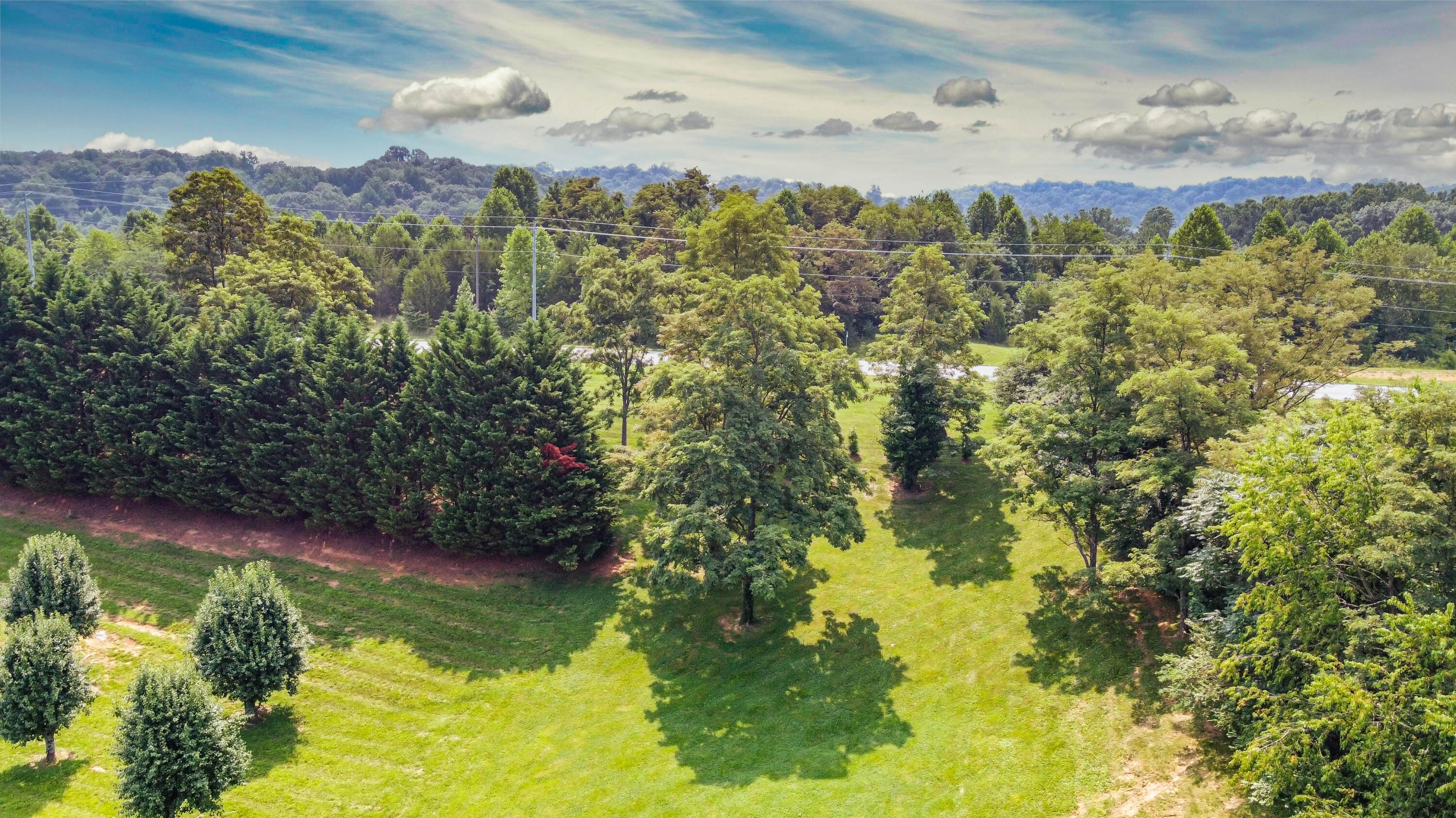 259 Lake Ridge Drive Jonesborough, TN 37659 - Photo 7 of 65 Lake Ridge Dr-7