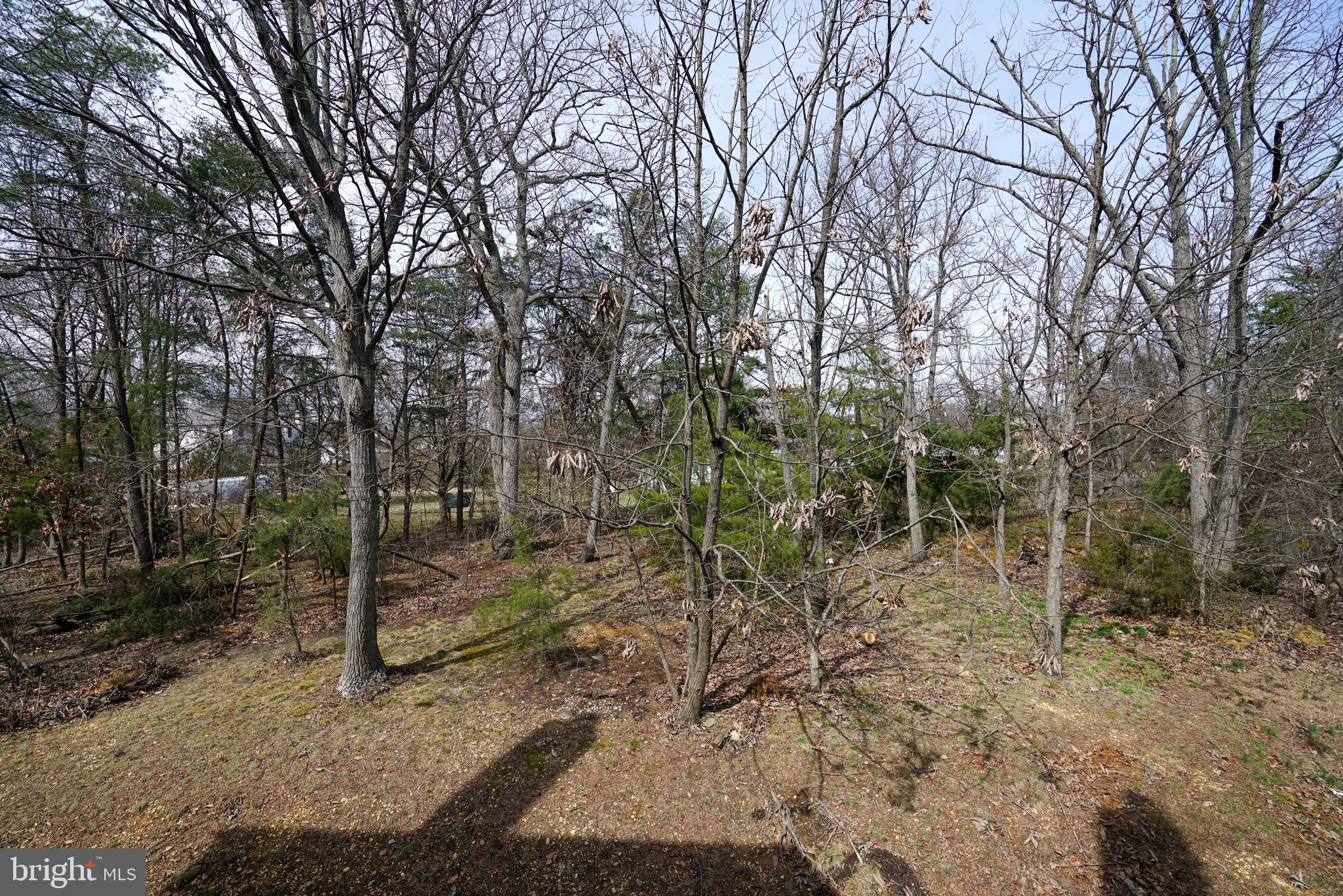 6344 Demme Place Springfield, VA 22150 - Photo 43 of 43