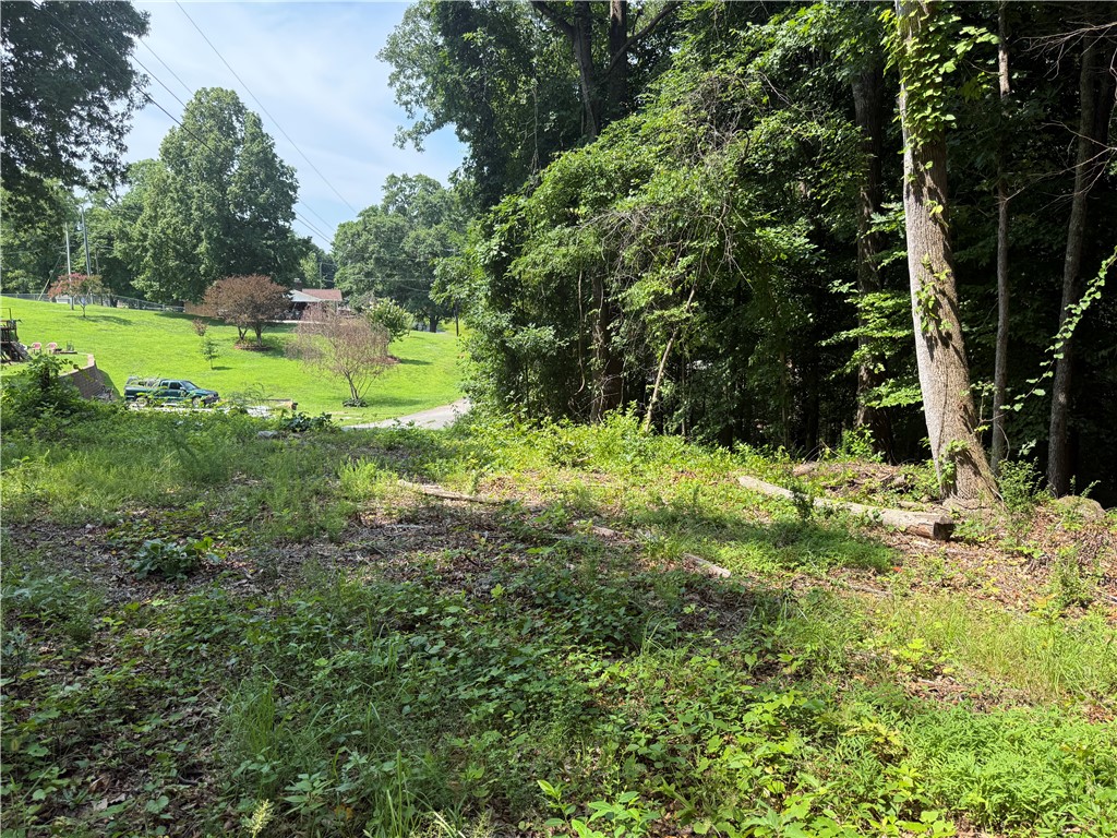 0 Fox Fire Road Central, SC 29630 - Photo 6 of 23