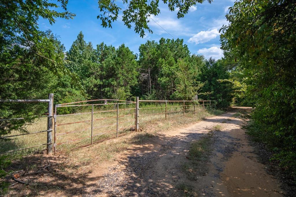 20 Interstate 20 Lindale, TX 75706 - Photo 3 of 22 a backyard of a house with plants and large trees