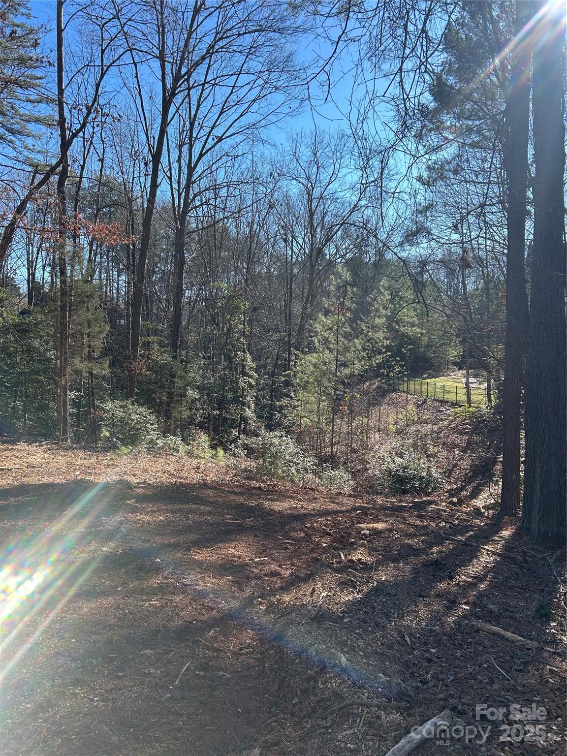 0 Spindrift Cove, Unit 59 Denver, NC 28037 - Photo 11 of 14