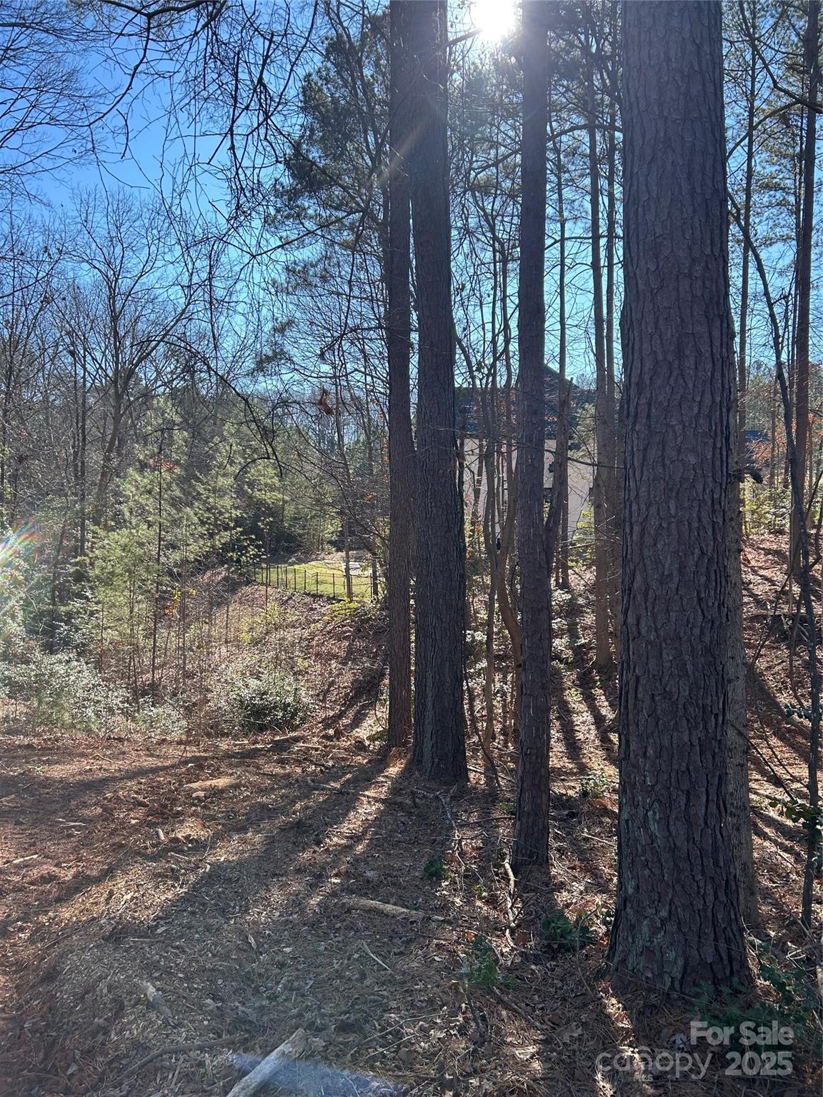 0 Spindrift Cove, Unit 59 Denver, NC 28037 - Photo 12 of 14